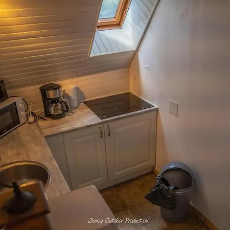 Apartment Les Tilleuls Besse-et-Saint-Anastaise